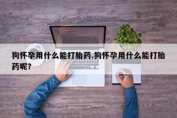 米非米索购买狗怀孕用什么能打胎药.狗怀孕用什么能打胎药呢？