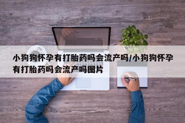 米非米索购买小狗狗怀孕有打胎药吗会流产吗/小狗狗怀孕有打胎药吗会流产吗图片