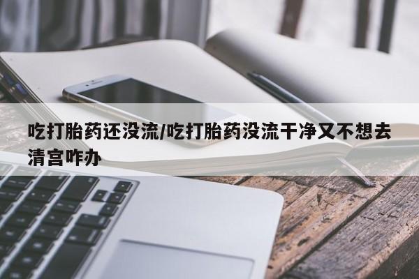 米非米索购买吃打胎药还没流/吃打胎药没流干净又不想去清宫咋办