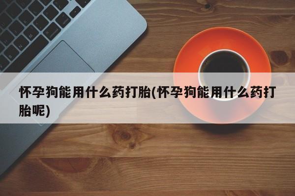 米非米索购买怀孕狗能用什么药打胎(怀孕狗能用什么药打胎呢)